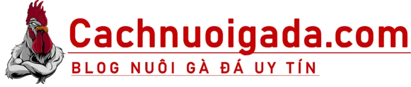 logo-cachnuoigada