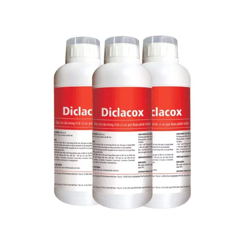 Cách Dùng Và Liều Lượng thuốc cầu trùng gà